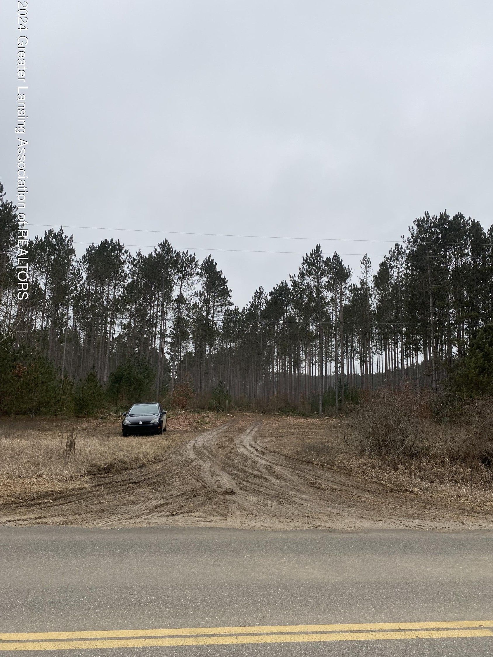 Mecosta, Mecosta County, MI Undeveloped Land for sale Property ID