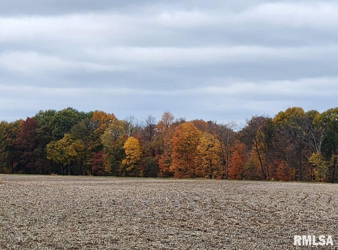 Astoria, Fulton County, IL Undeveloped Land for sale Property ID