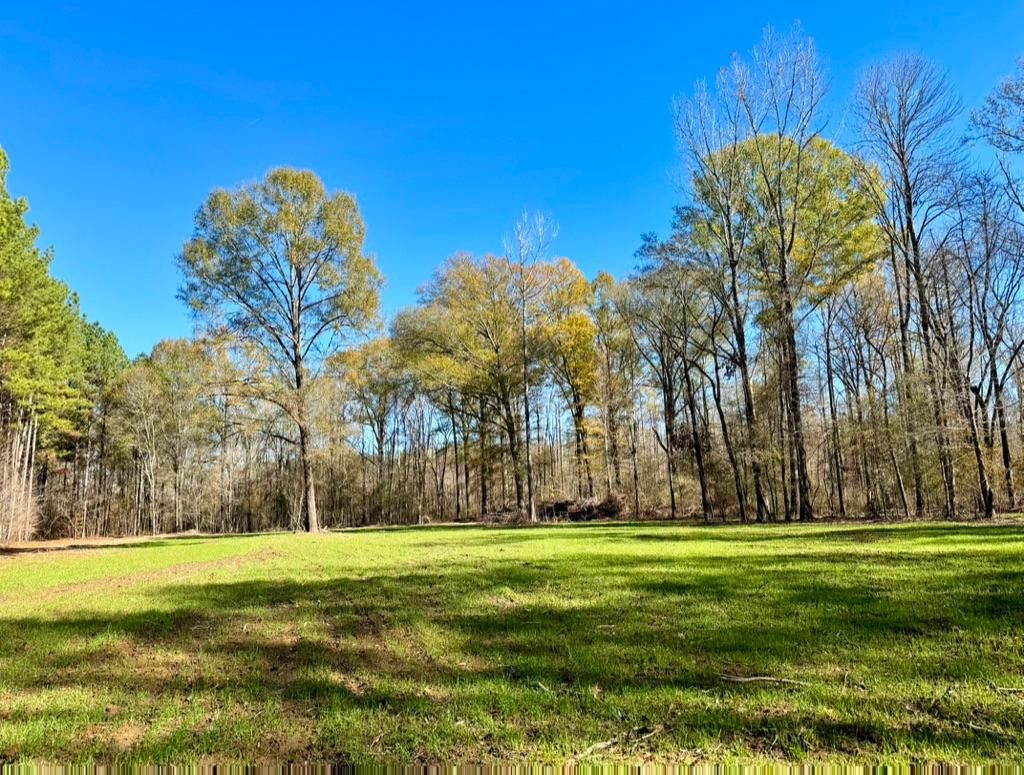 Canton, Madison County, MS Recreational Property, Timberland Property