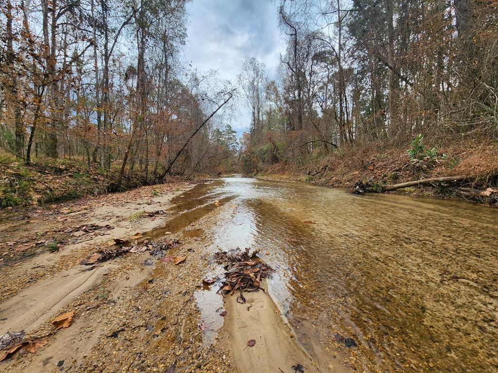Mccall Creek, Franklin County, MS Undeveloped Land for sale Property ID 418640145 LandWatch