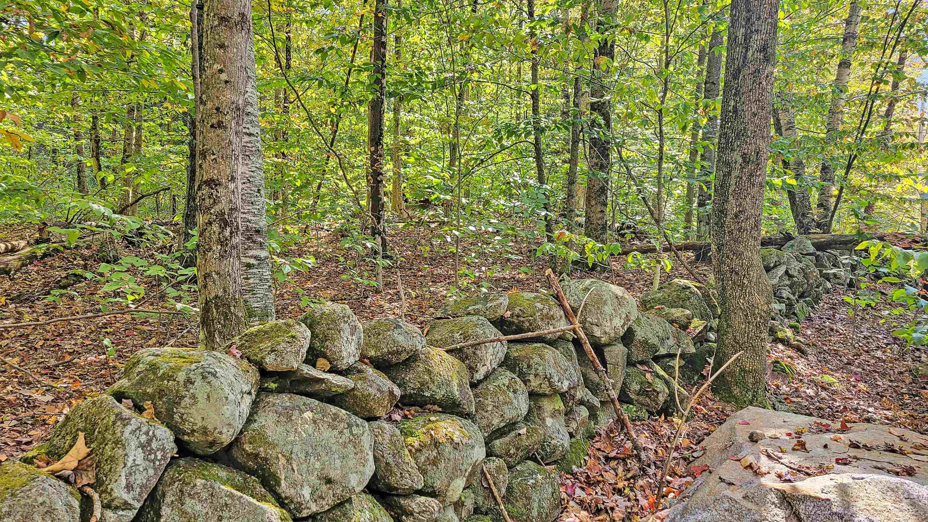 Wentworth, Grafton County, NH Undeveloped Land, Homesites for sale