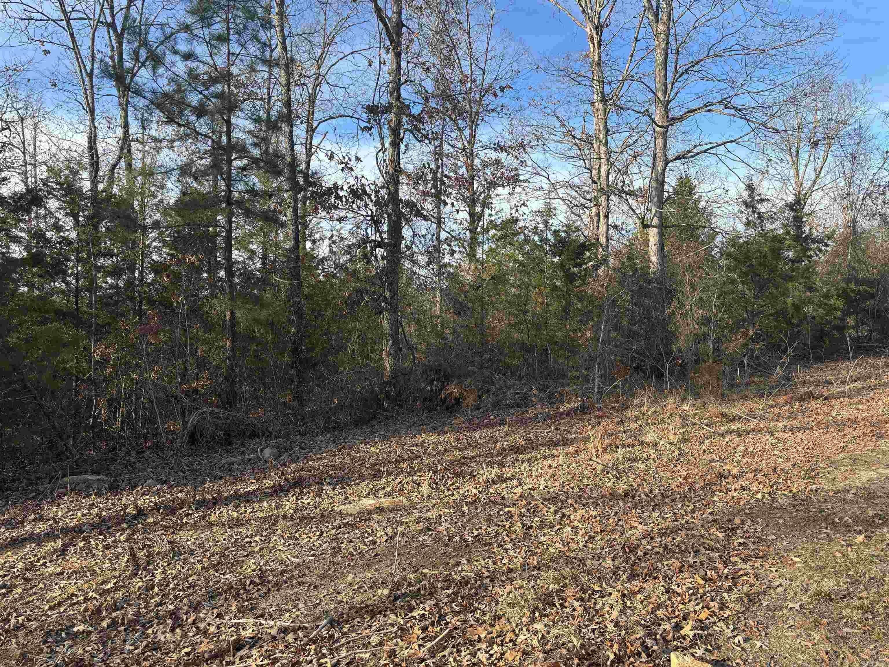 Cabot, Pulaski County, AR Undeveloped Land for sale Property ID