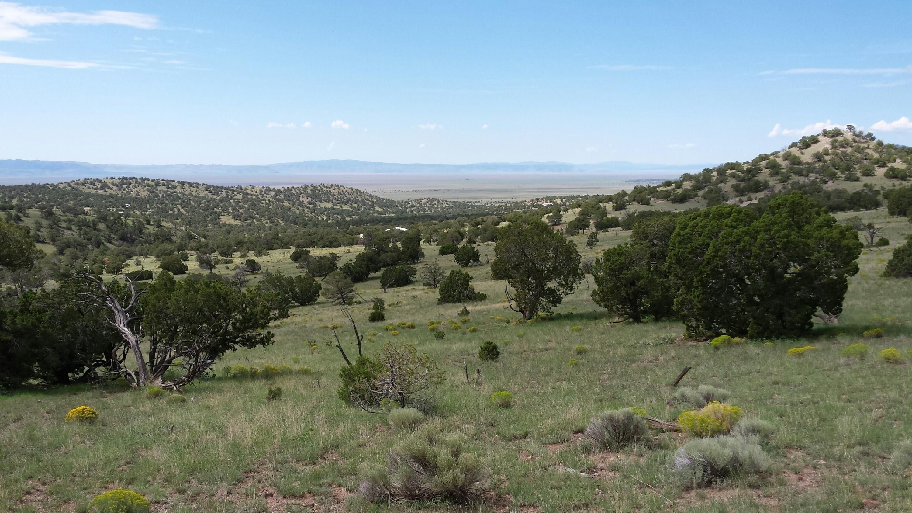 Datil, Catron County, NM Undeveloped Land for sale Property ID