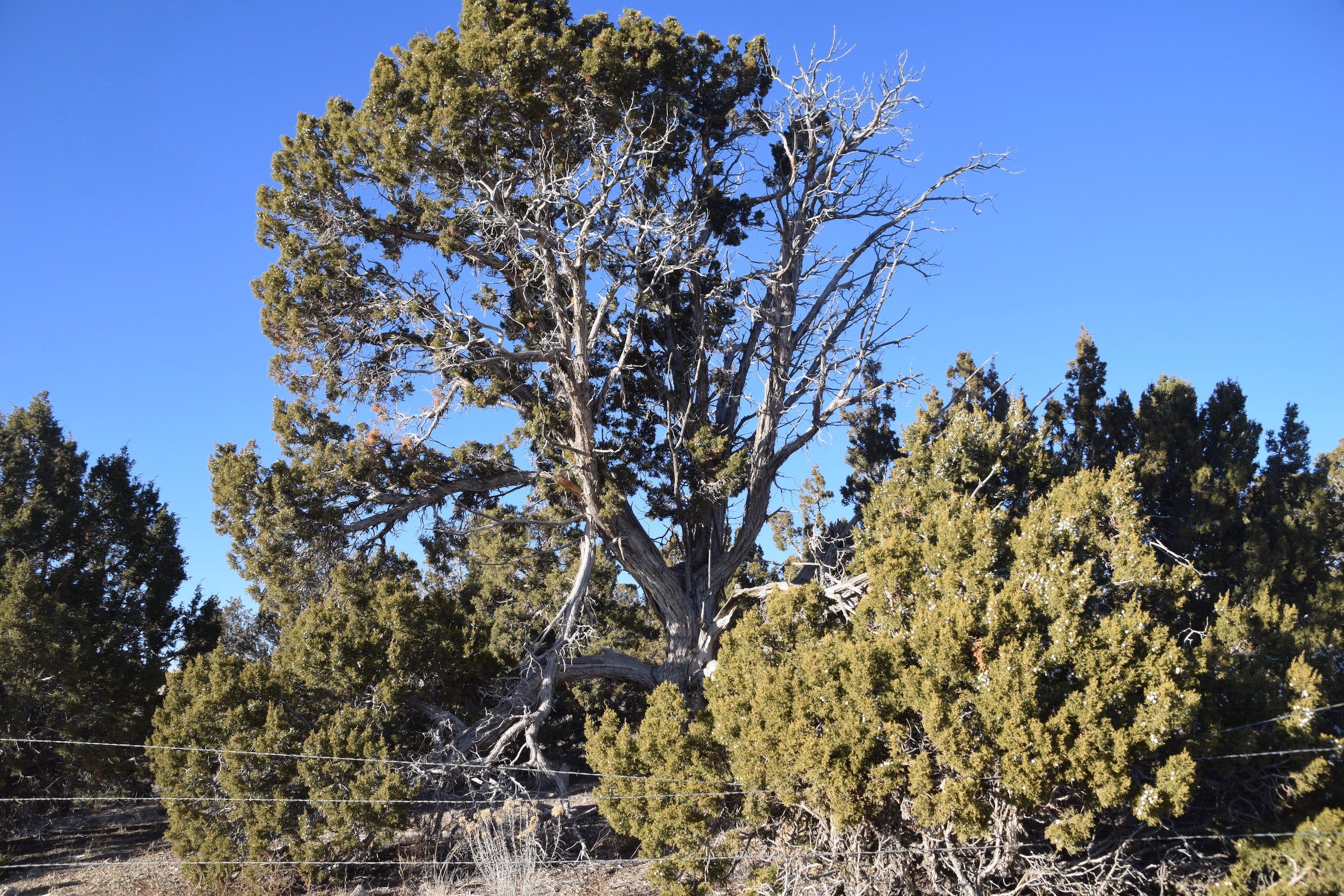 TBD Sheep Lane Drive, LotWP001, Nephi, UT 84648 LandWatch