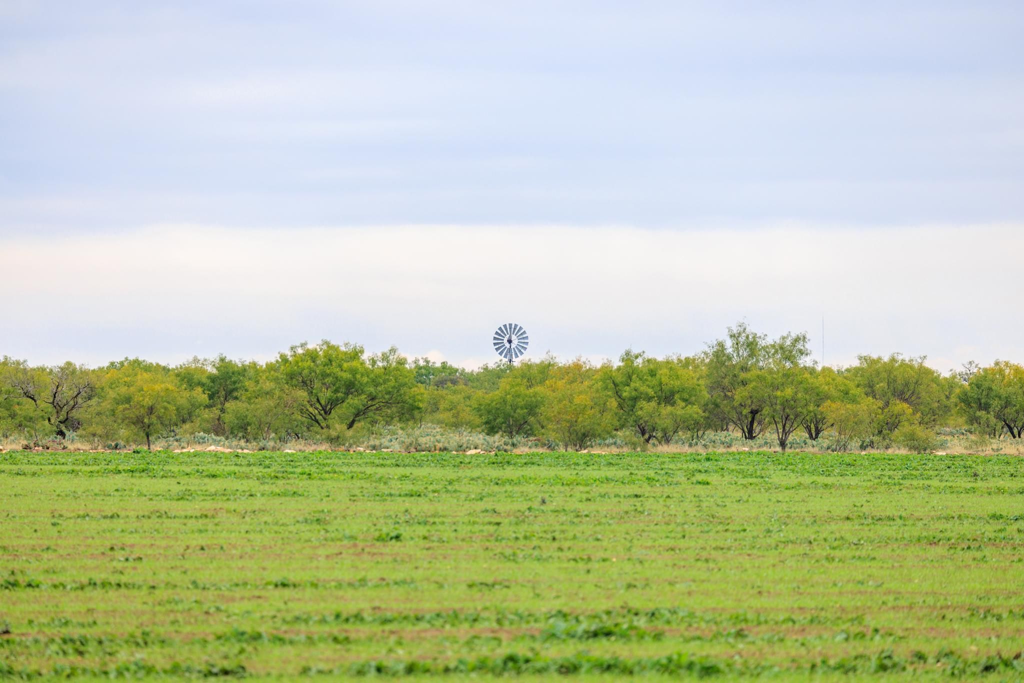 County Road 408, Eldorado, TX 76936 LandWatch