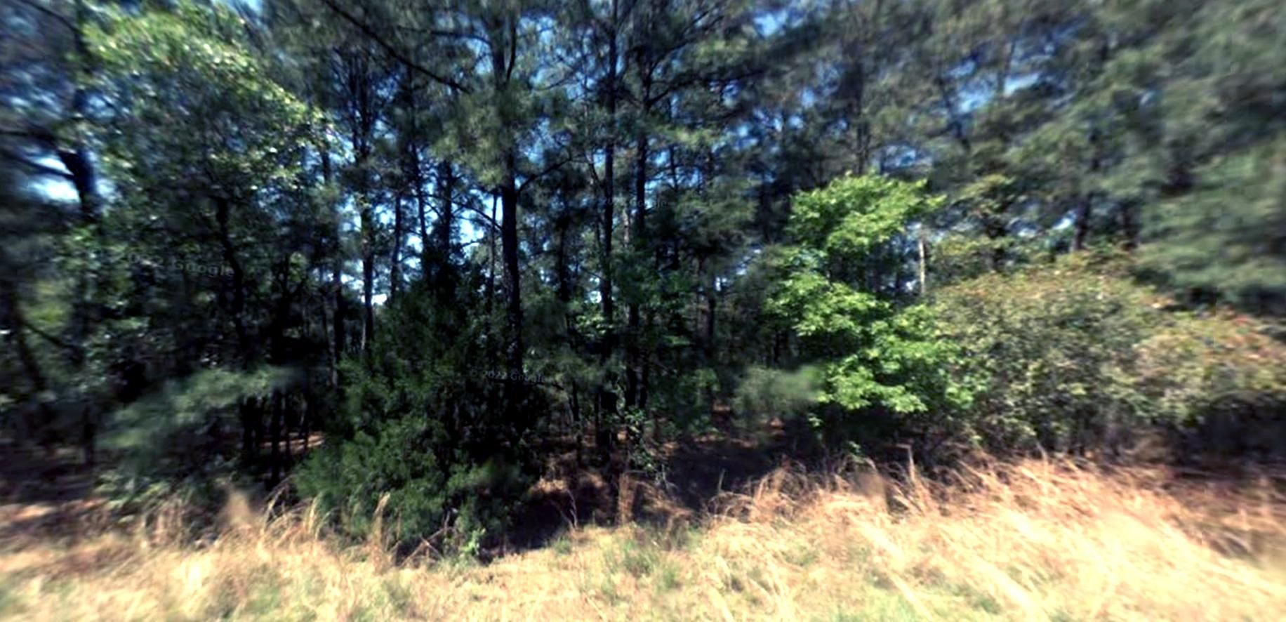 Bastrop, Bastrop County, TX Recreational Property, Undeveloped Land