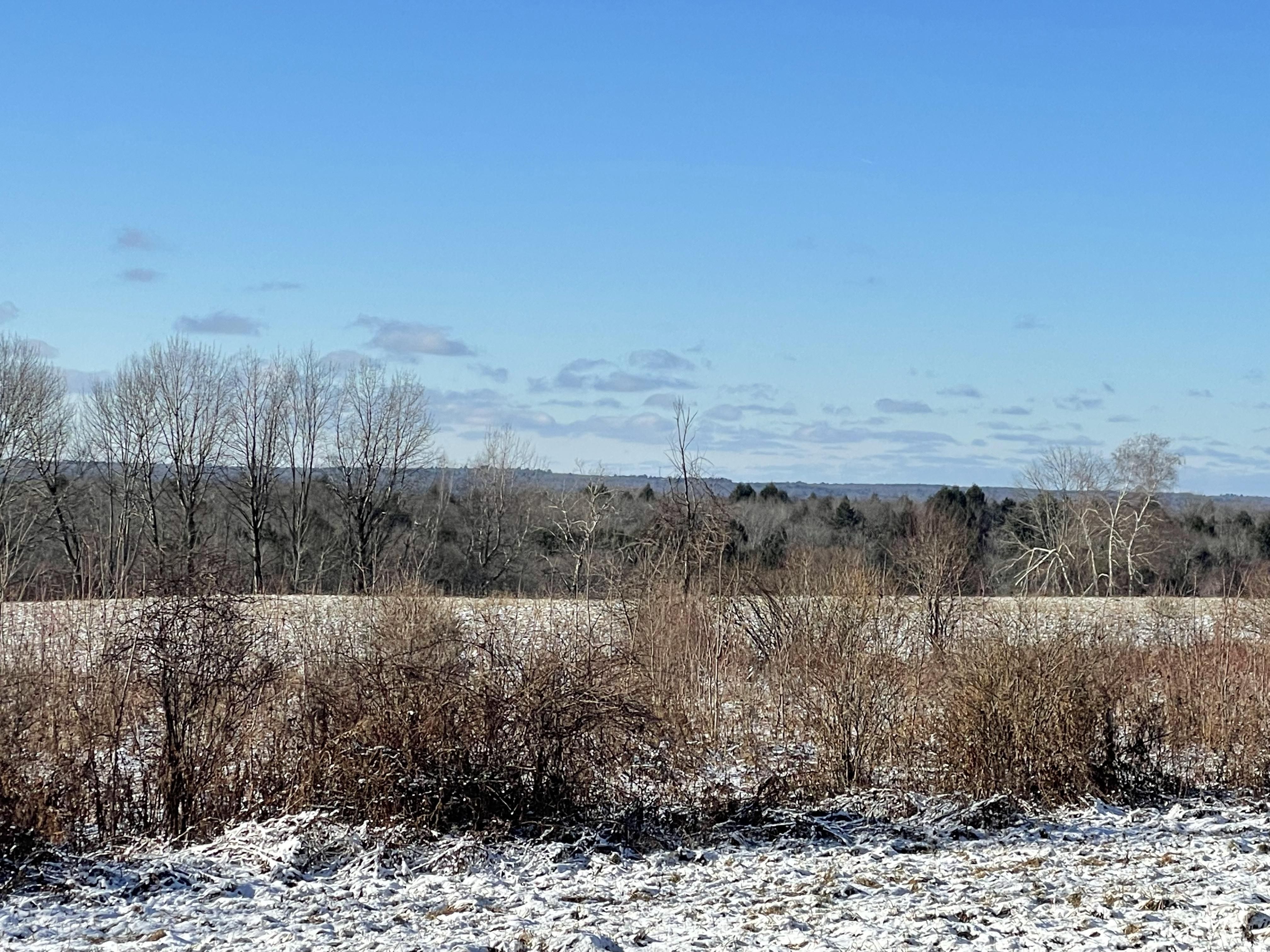 1.12 Van Buren Road, Camden, NY 13316 MLS 11234901 LandWatch