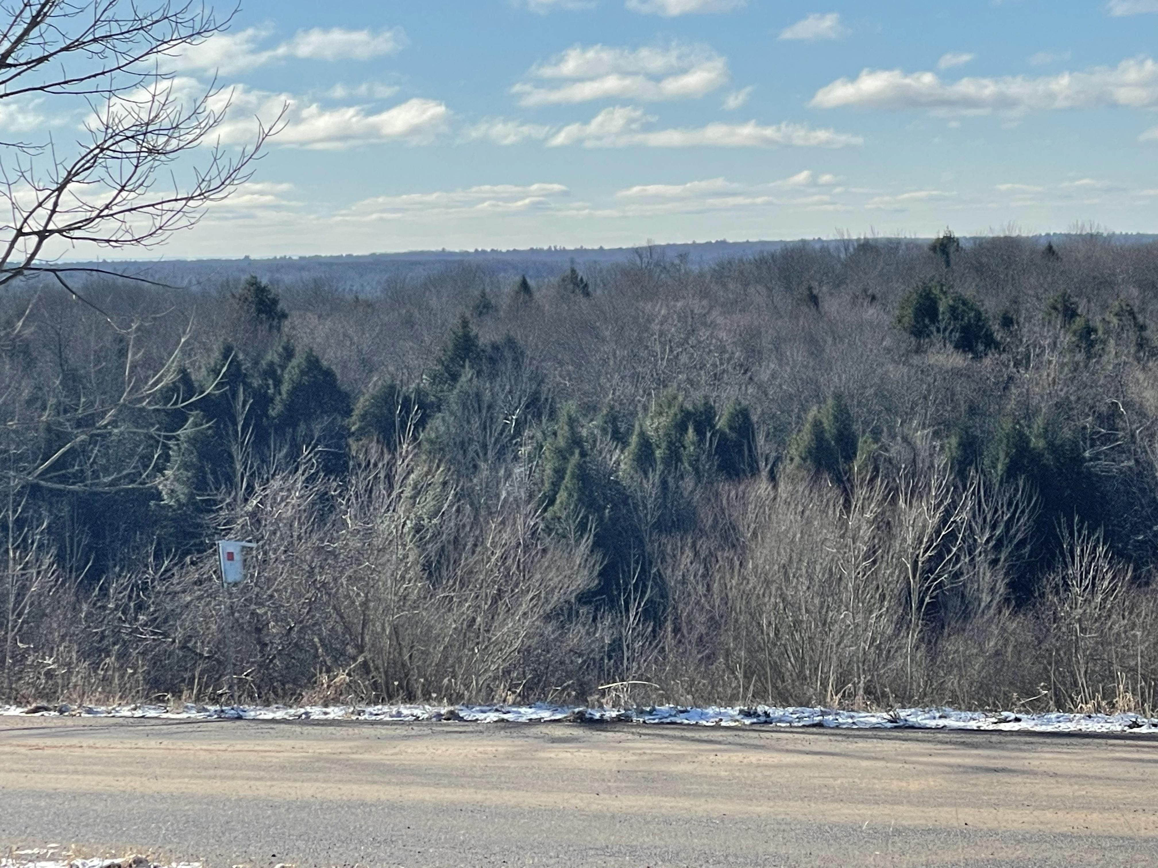 1.14 Van Buren Road, Camden, NY 13316 MLS 11234917 LandWatch