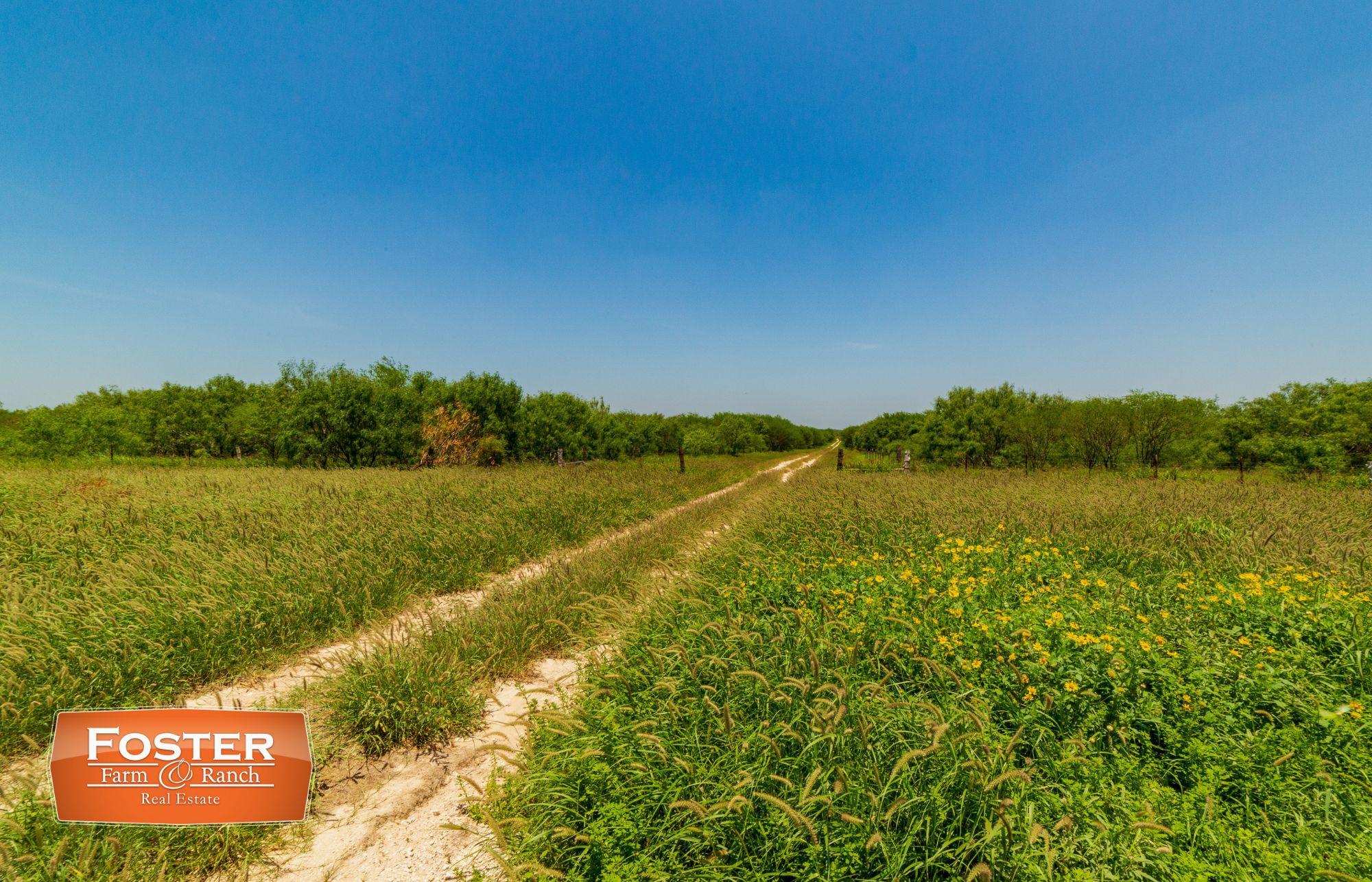 645 acres in McCook, TX, 78591 LandWatch