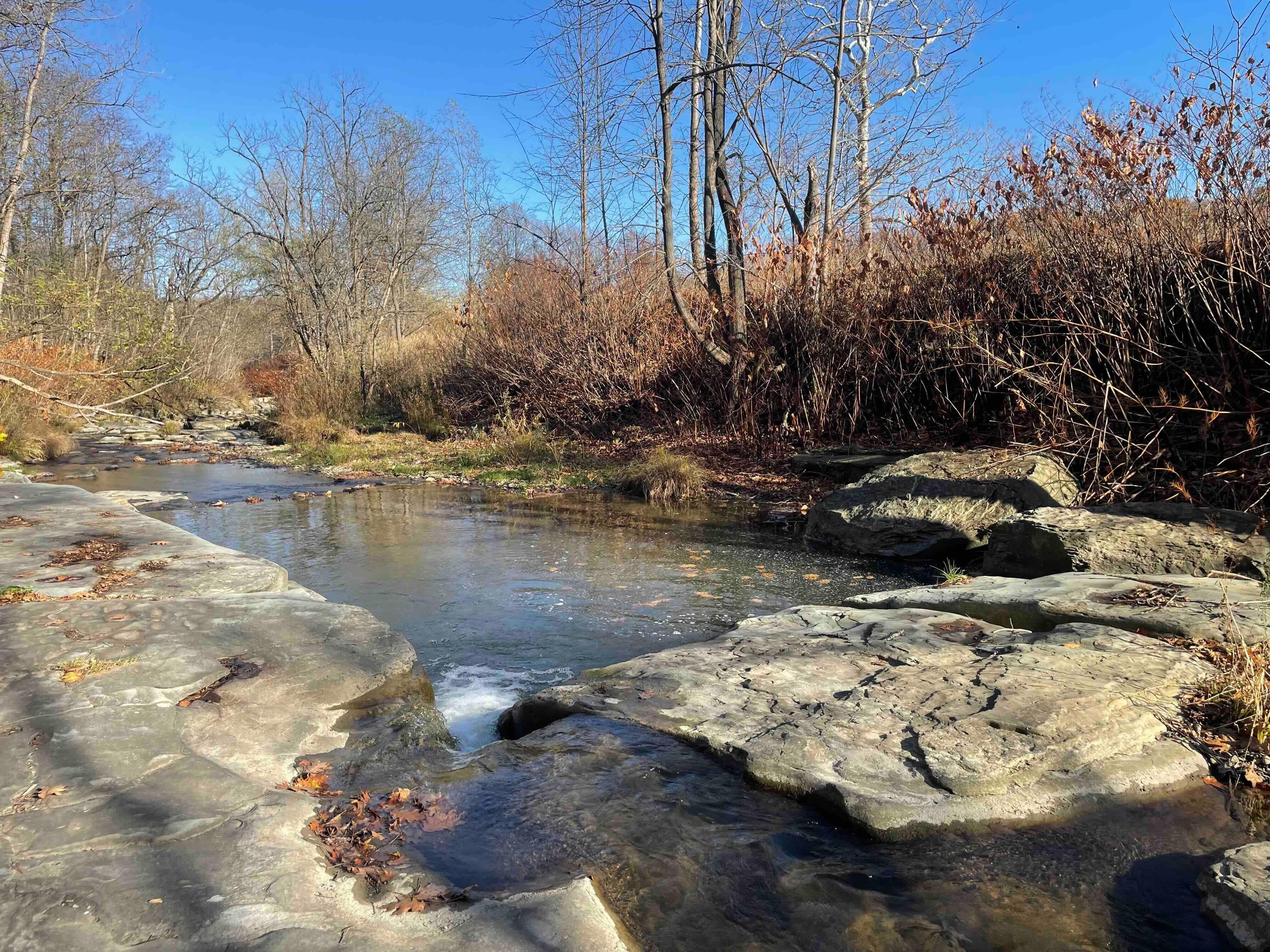 Hunt, Livingston County, NY Recreational Property, Hunting Property for