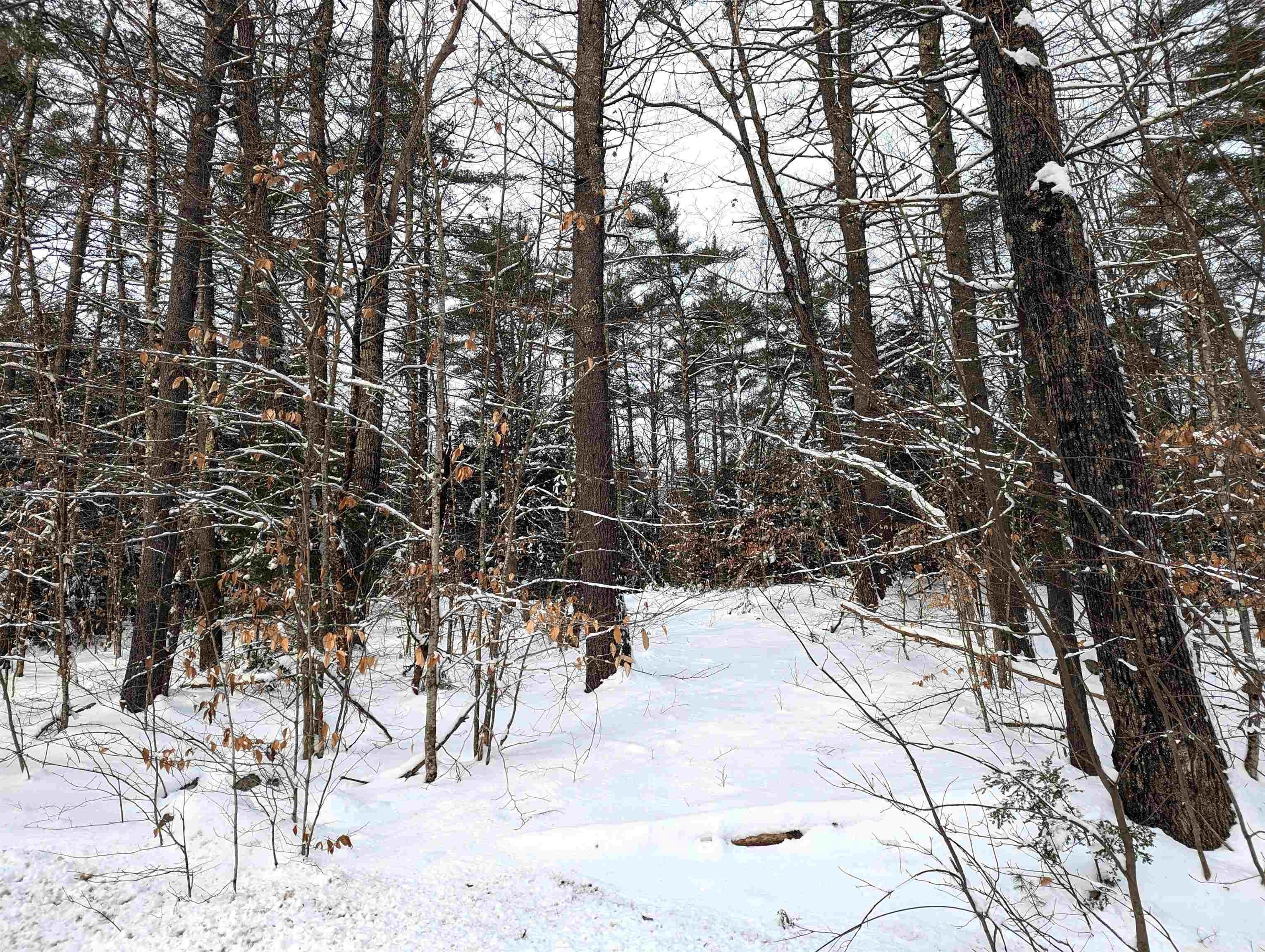 Milton, Strafford County, NH Undeveloped Land for sale Property ID 418643105 LandWatch