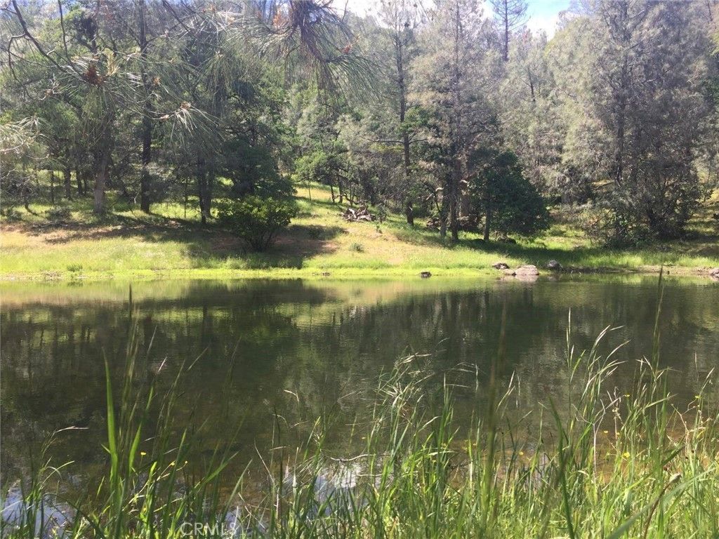 Platina, Shasta County, CA Undeveloped Land for sale Property ID