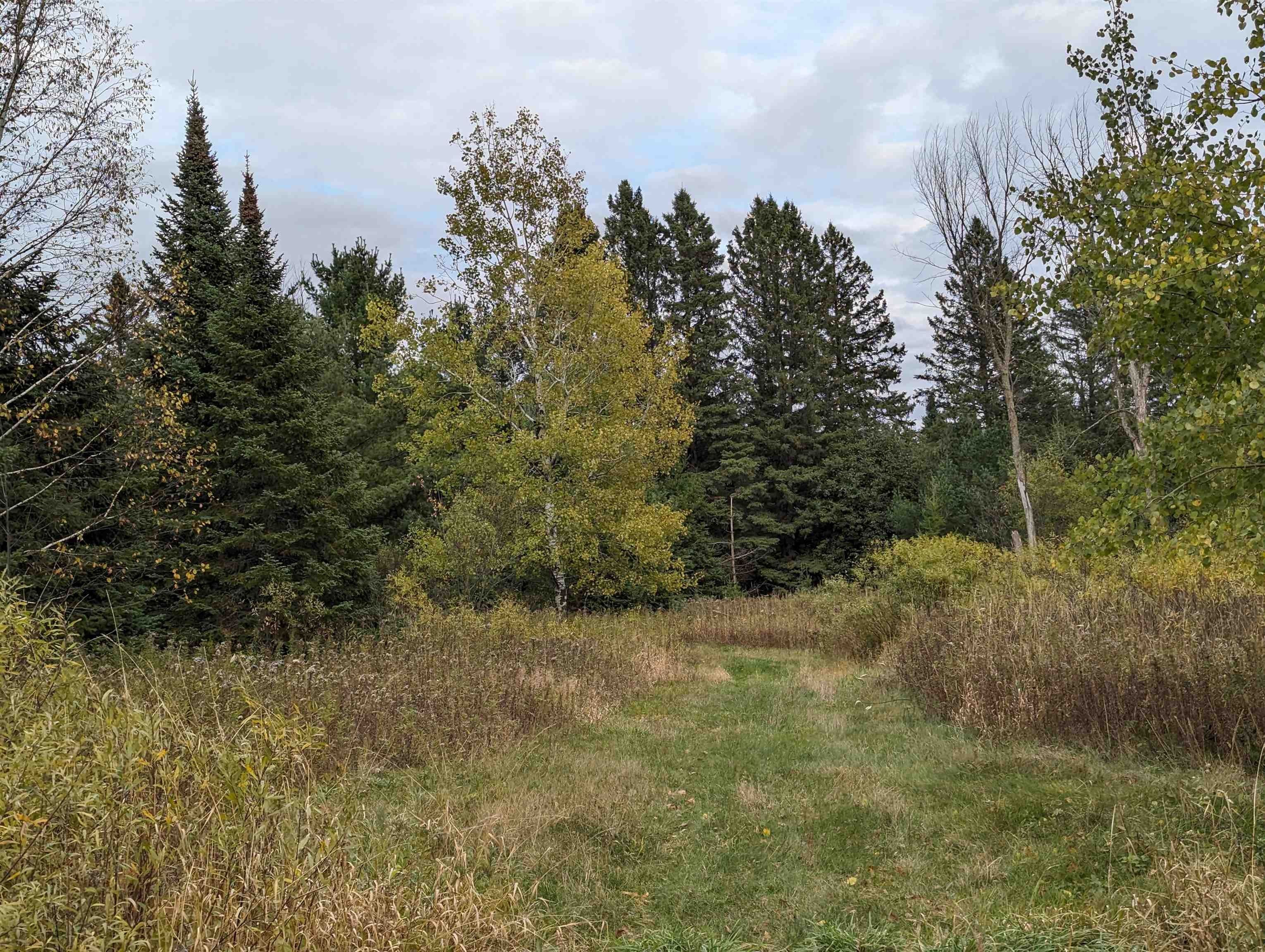 Brantwood, Price County, WI Undeveloped Land for sale Property ID