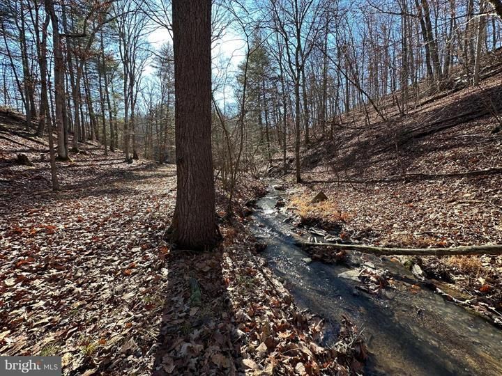 55 CEDAR RUN, Great Cacapon, WV 25422 MLS WVMO2003966 LandWatch