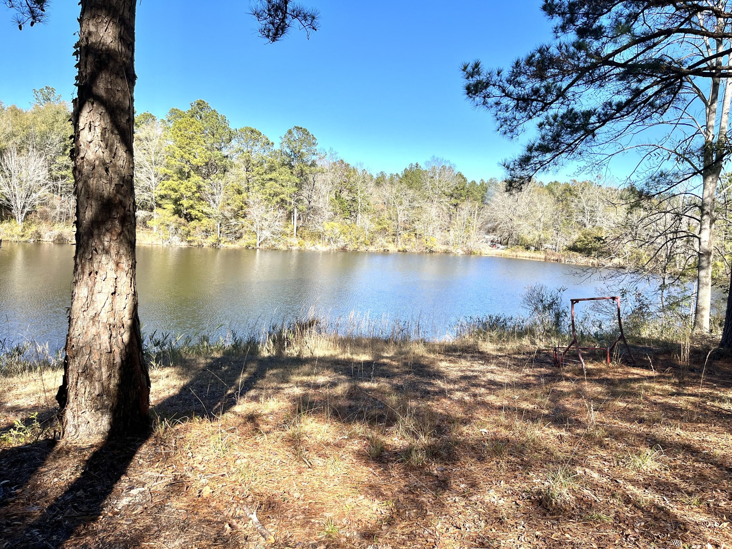 Sardis, Burke County, GA Undeveloped Land, Lakefront Property