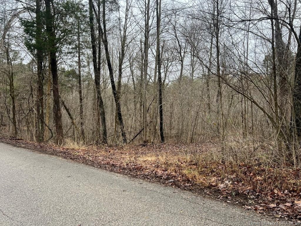 Laconia, Harrison County, IN Undeveloped Land for sale Property ID