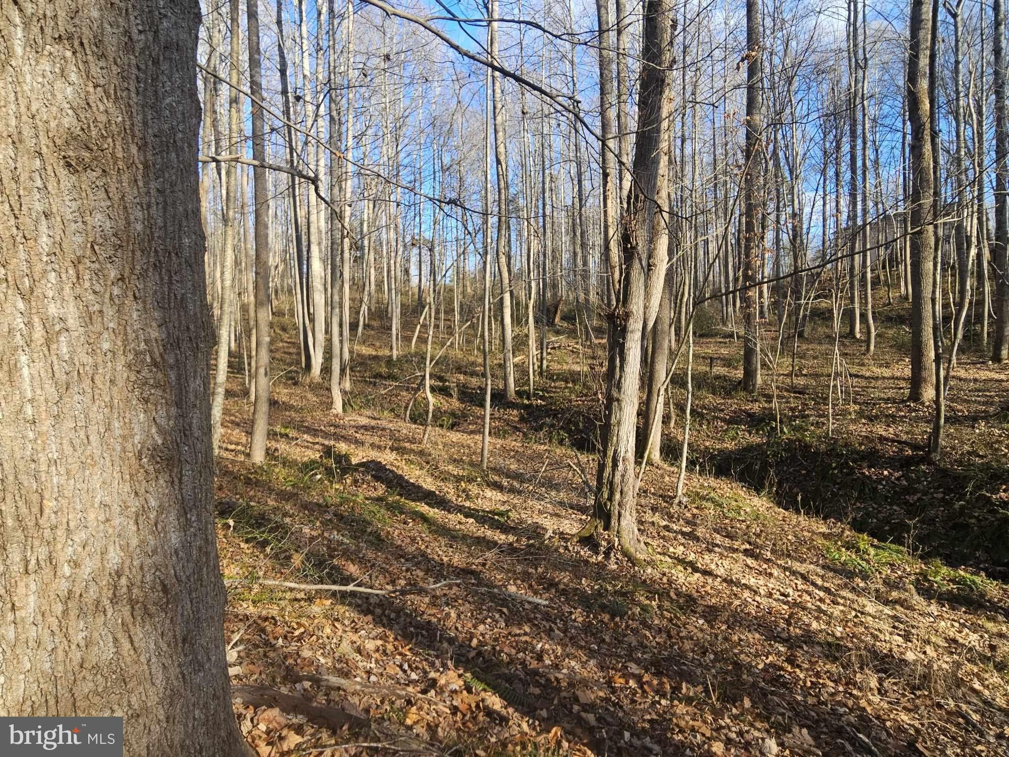 Boston, Culpeper County, VA Undeveloped Land for sale Property ID