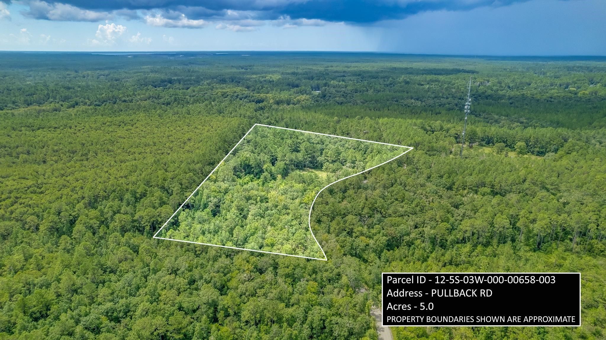 Sopchoppy, Wakulla County, FL Undeveloped Land, Homesites for sale