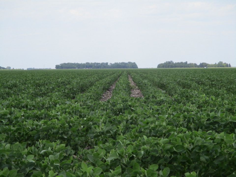 80 acres in Abercrombie, ND, 58075 LandWatch