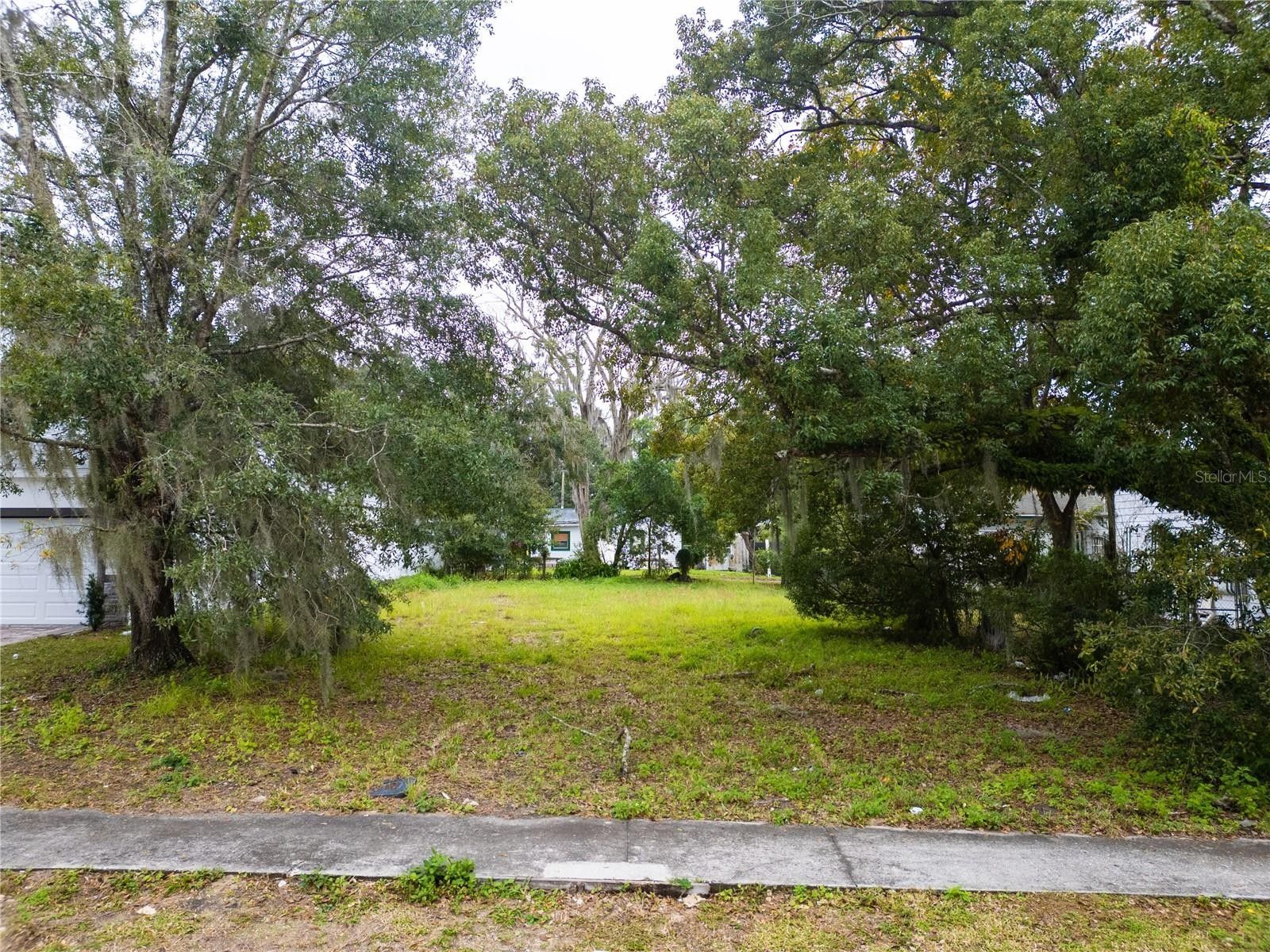 Davenport, Polk County, FL Undeveloped Land, Homesites for sale