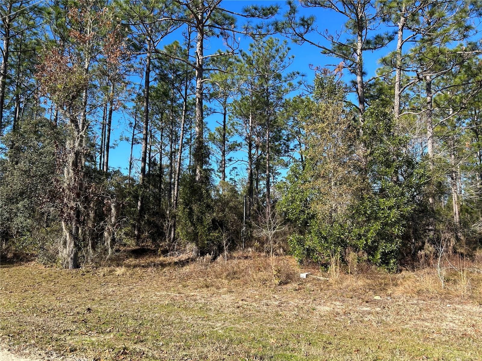 Williston, Levy County, FL Undeveloped Land, Homesites for sale