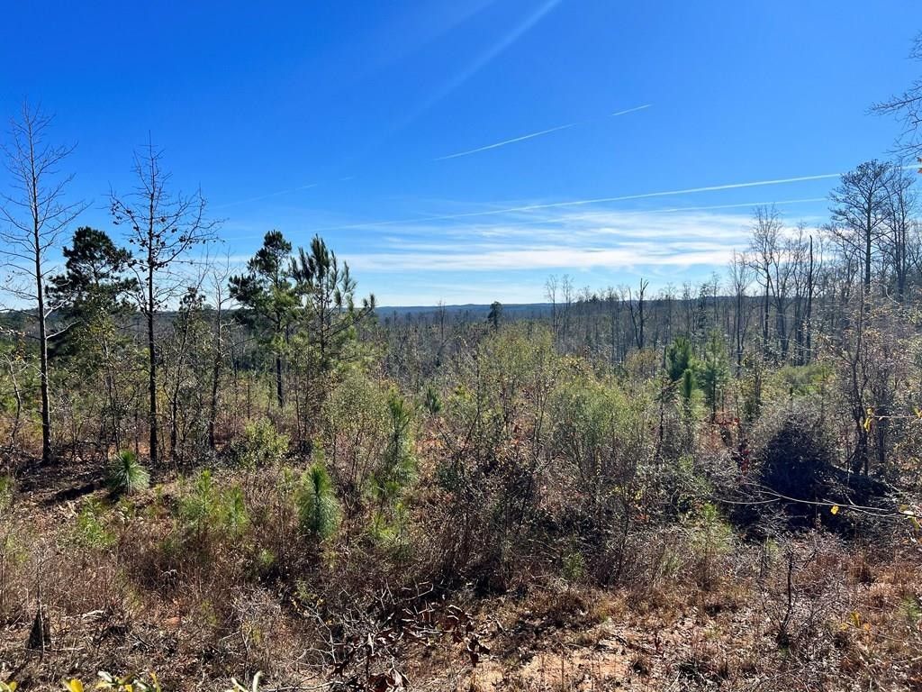 Clayton, Barbour County, AL for sale Property ID 418648300 LandWatch