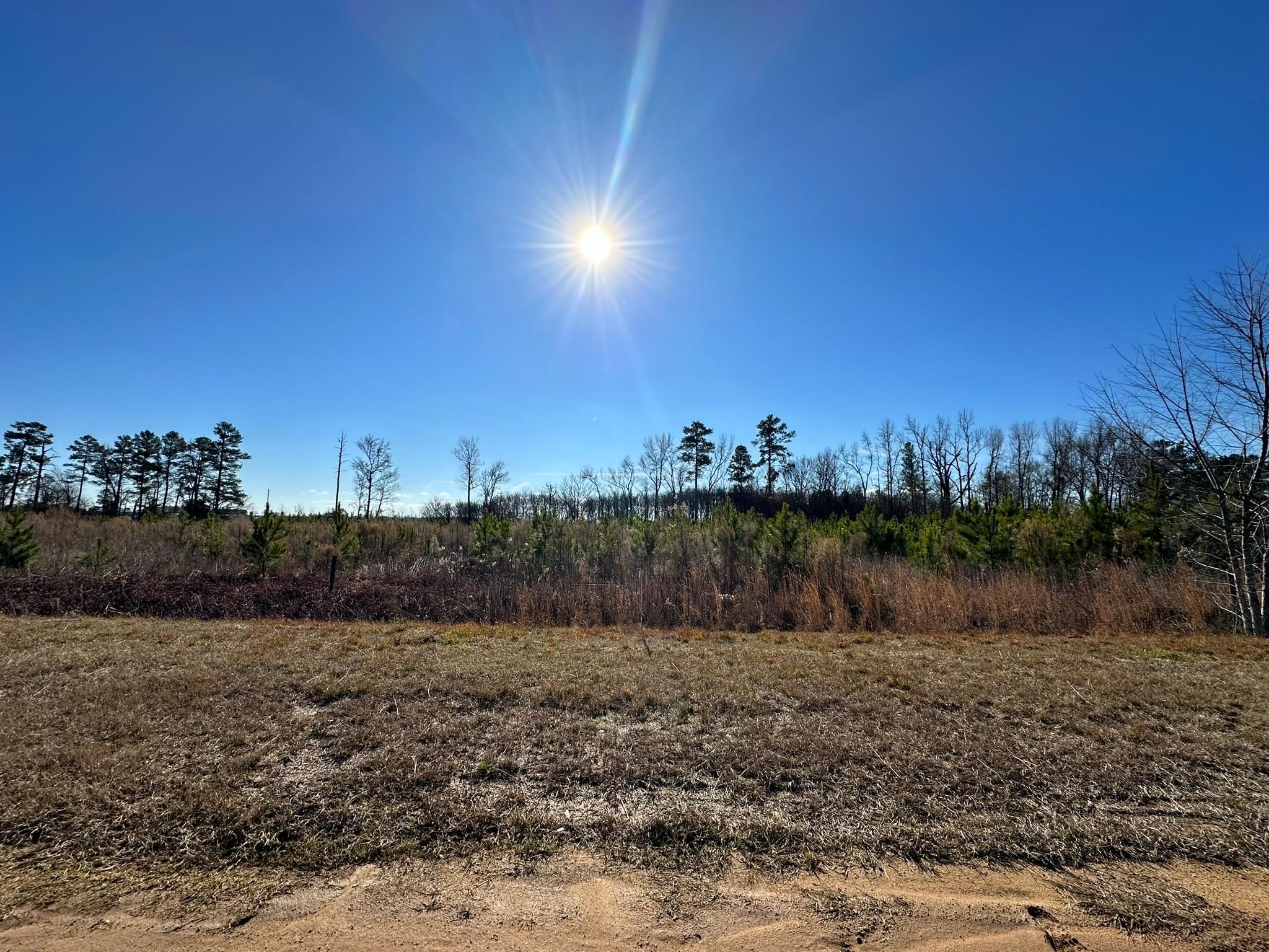 Triangle Road, Louisville, GA 30434 MLS 524127 LandWatch