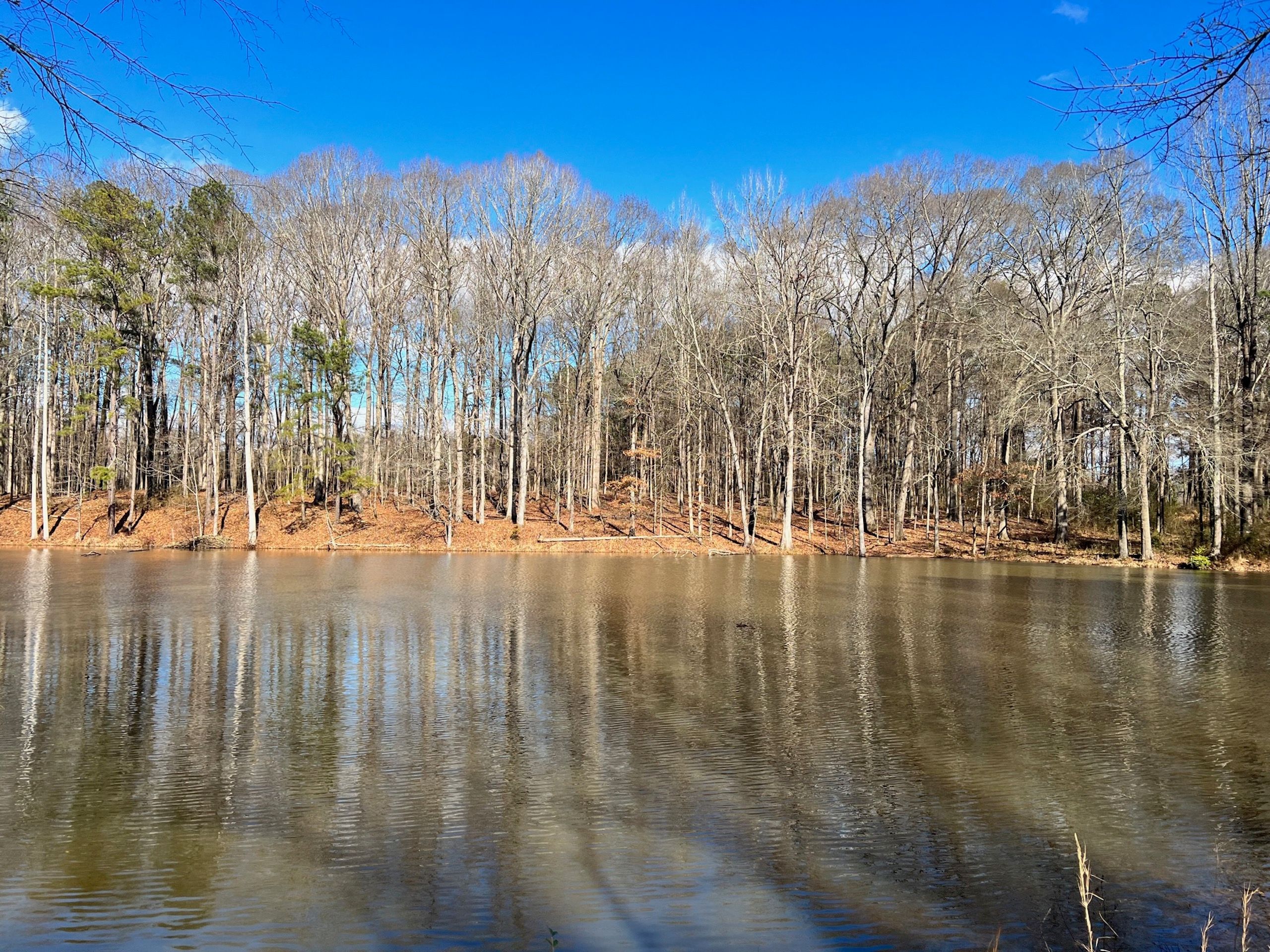 Pates Creek Rd, LotWP001, Stockbridge, GA 30281 LandWatch