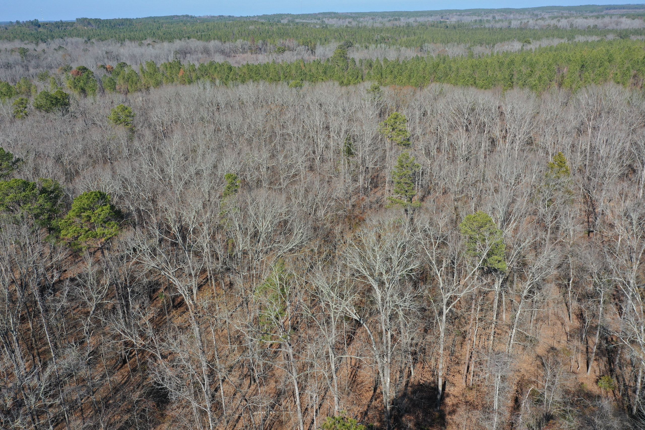 West, Holmes County, MS Recreational Property, Timberland Property