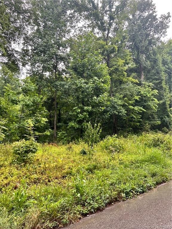 Mauckport, Harrison County, IN Undeveloped Land, Homesites for sale