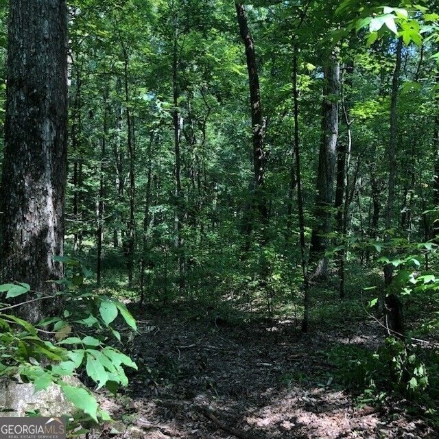 Eatonton, Putnam County, GA Farms and Ranches for sale Property ID