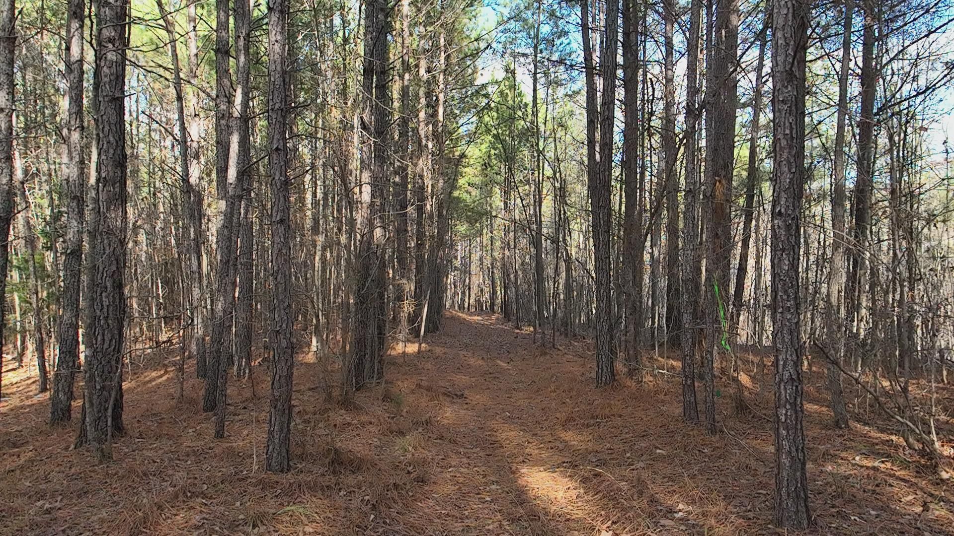Apex, Chatham County, NC Recreational Property, Undeveloped Land for