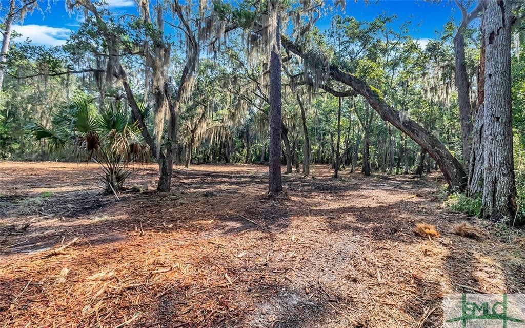 Midway, Liberty County, GA Undeveloped Land, Homesites for sale