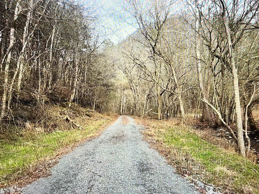 Bloomington Springs, Putnam County, TN Undeveloped Land for sale