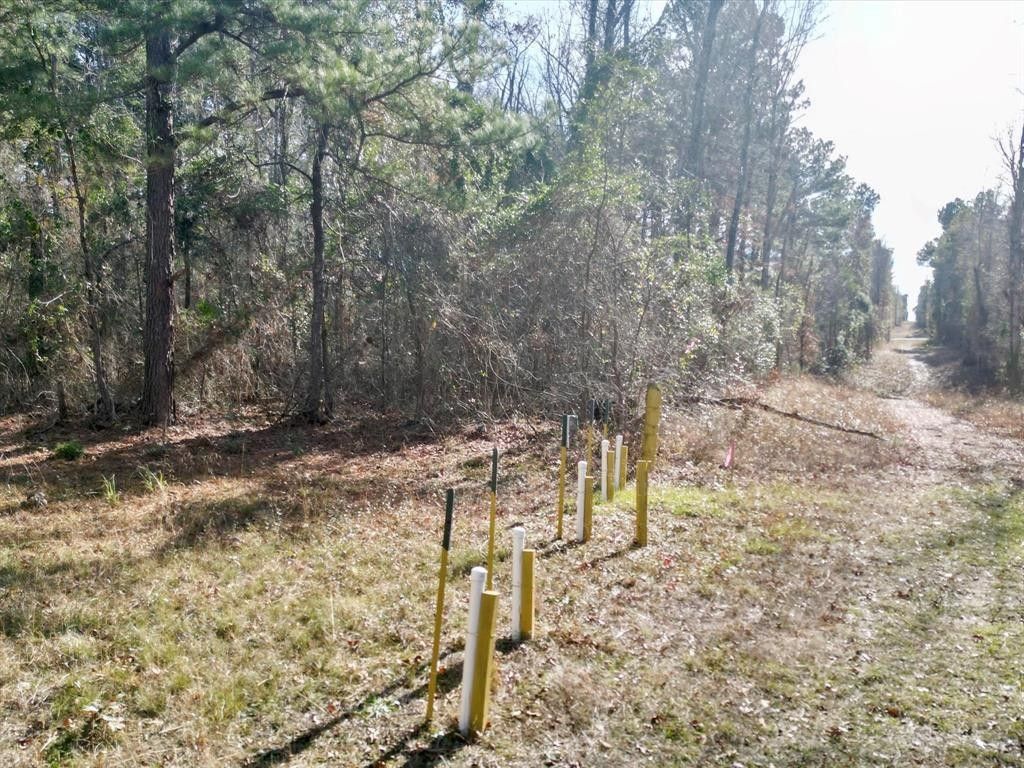 Kilgore, Gregg County, TX Undeveloped Land for sale Property ID