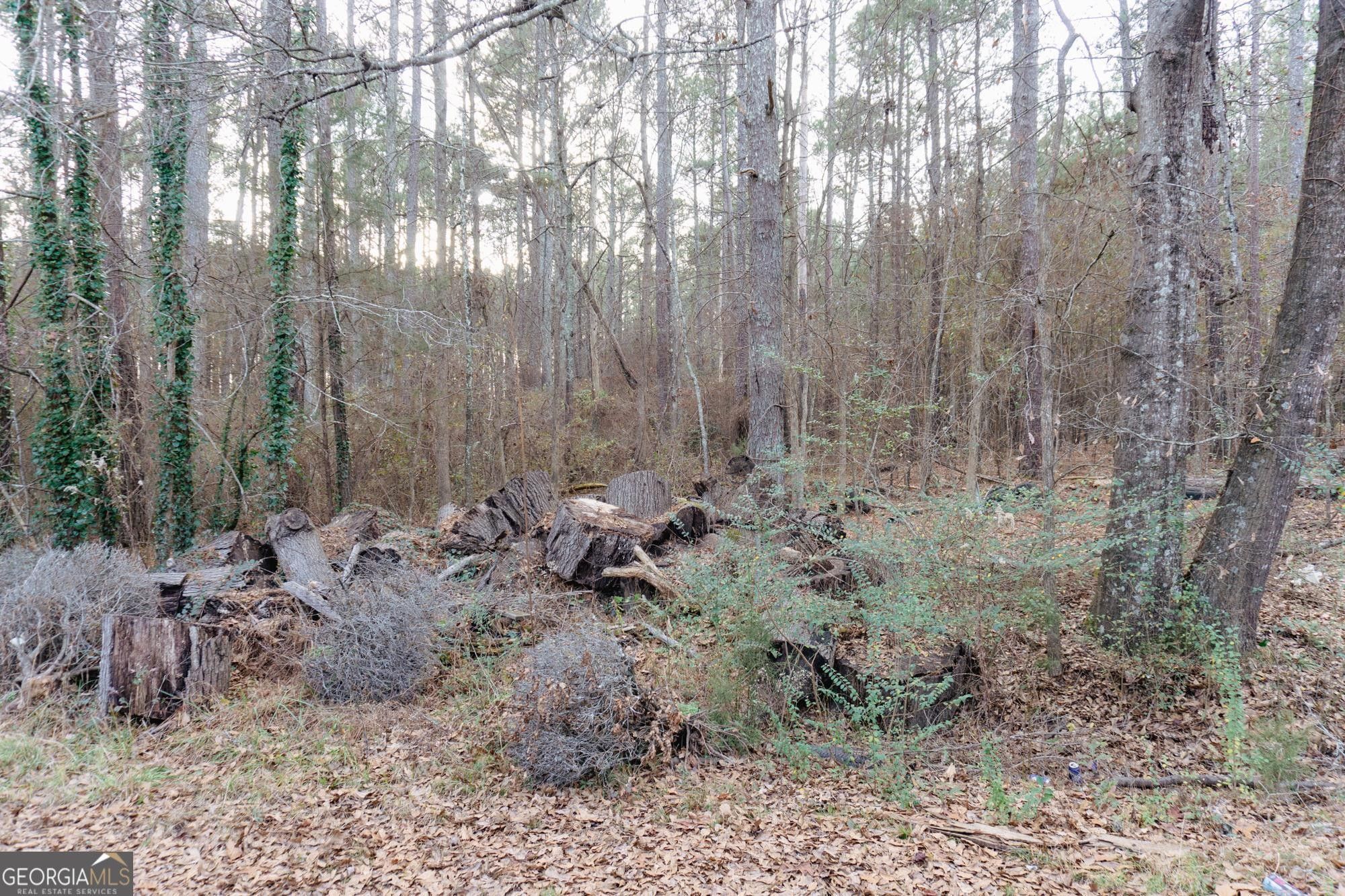 Monroe, Walton County, GA Undeveloped Land, Homesites for sale Property