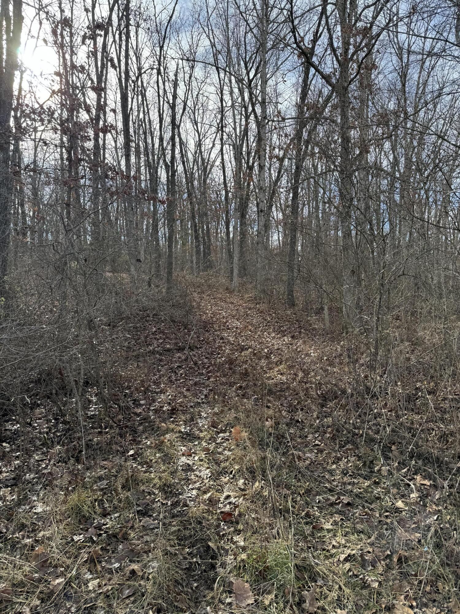 Marshfield, ster County, MO Undeveloped Land for sale Property ID