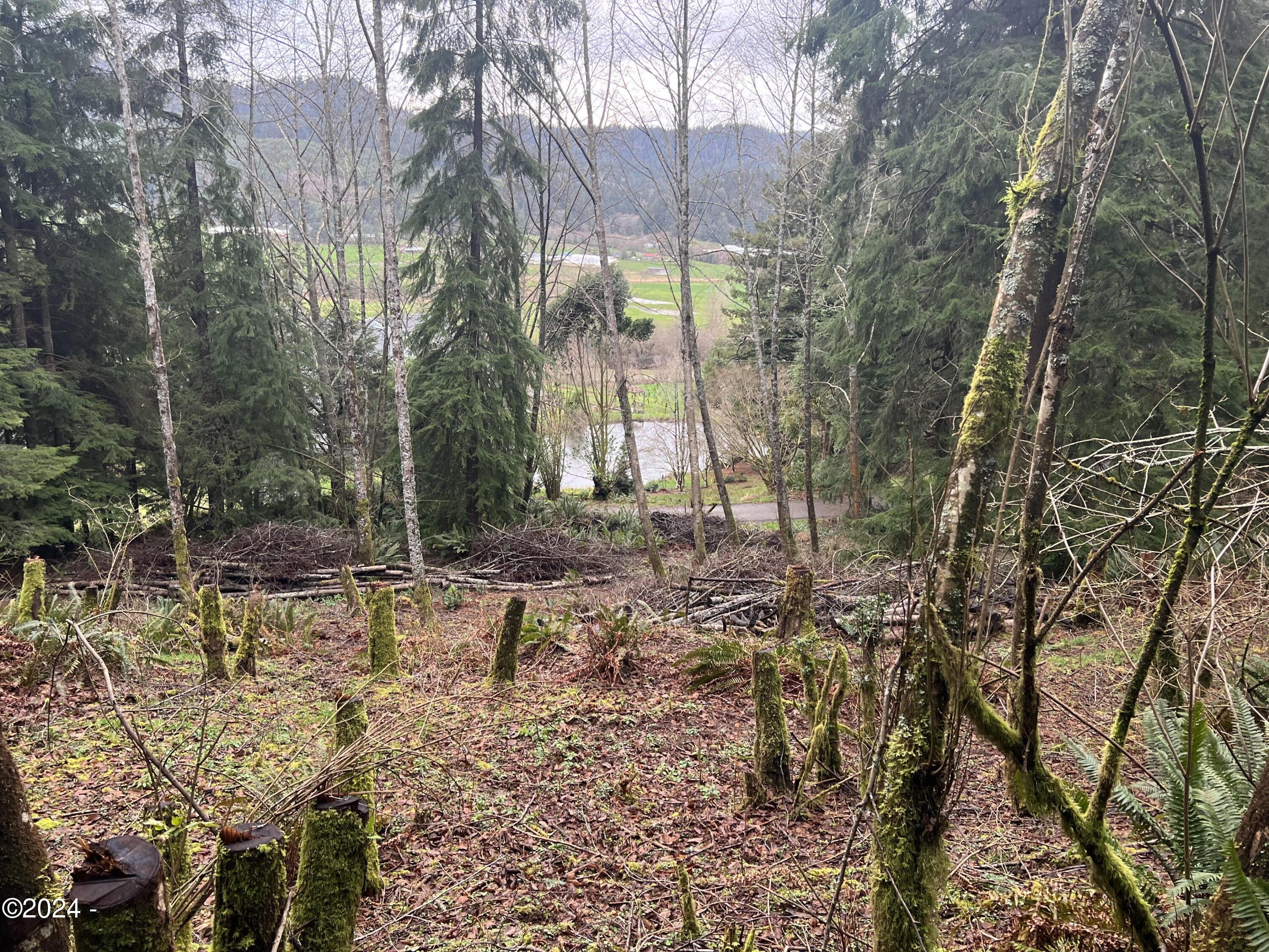 Cloverdale, Tillamook County, OR Undeveloped Land, Homesites for sale