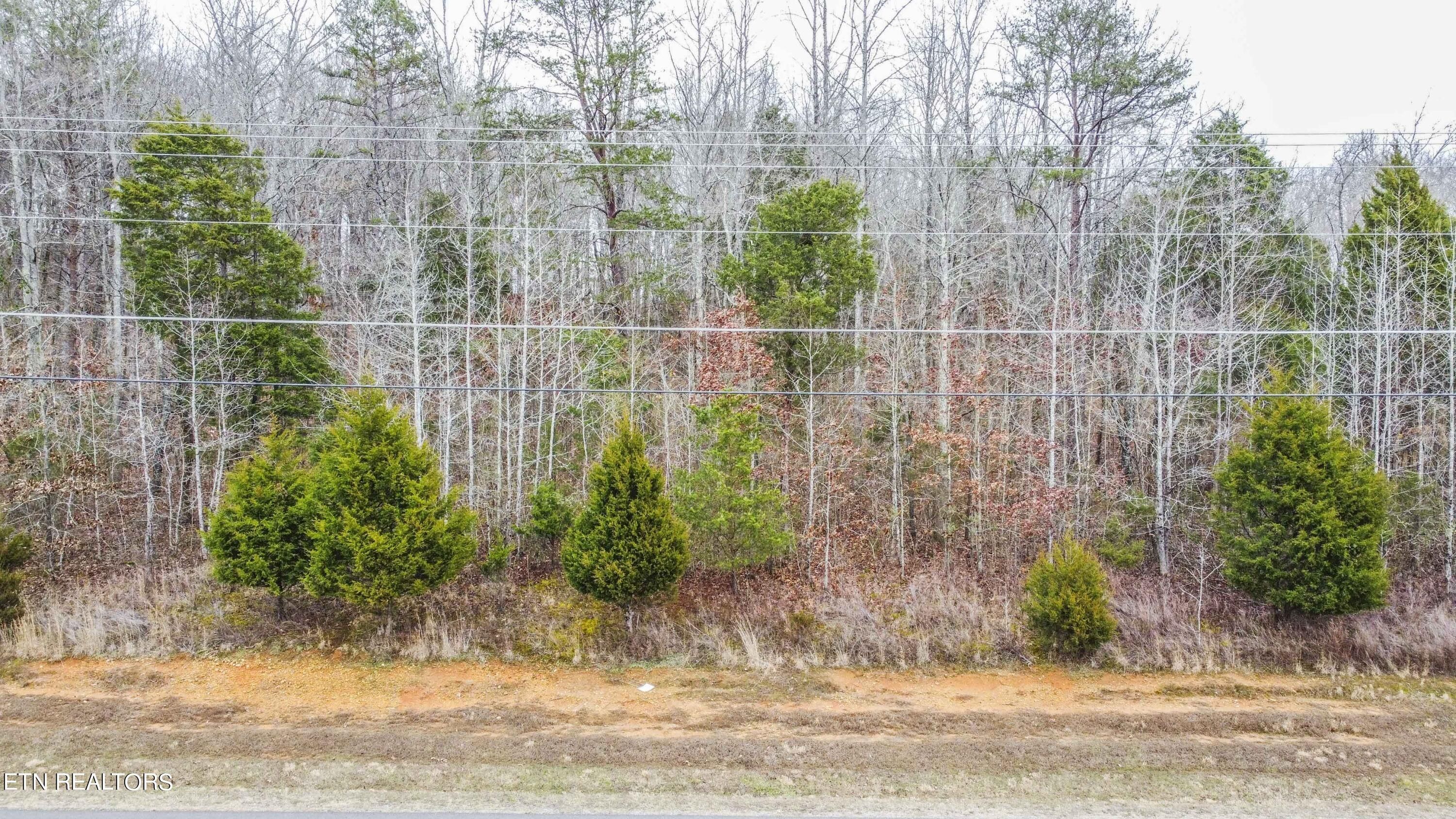 Lot 165 New Hope Rd, Rockwood, TN 37854 MLS 1249995 LandWatch