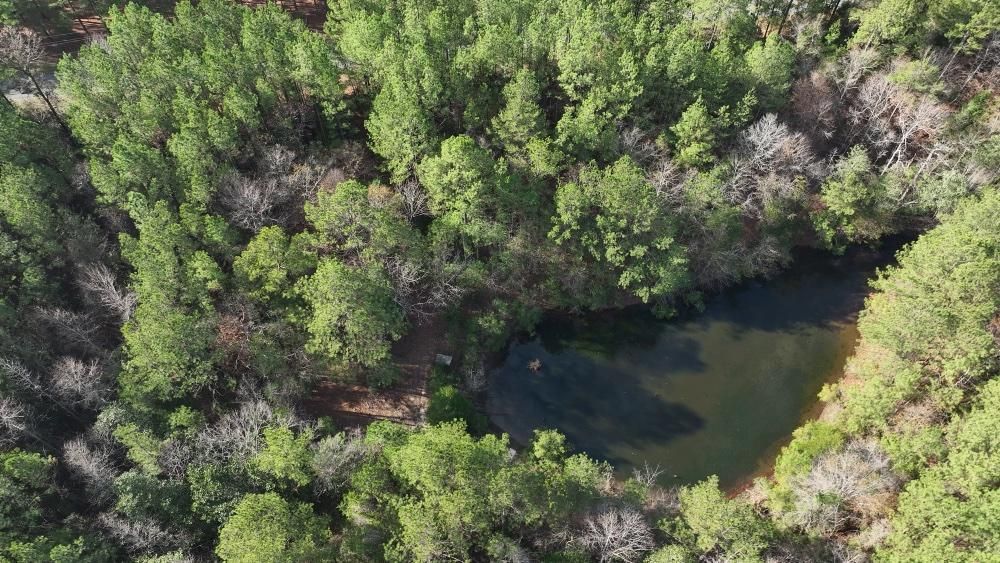 County Road 21, Stringer, MS 39481 LandWatch