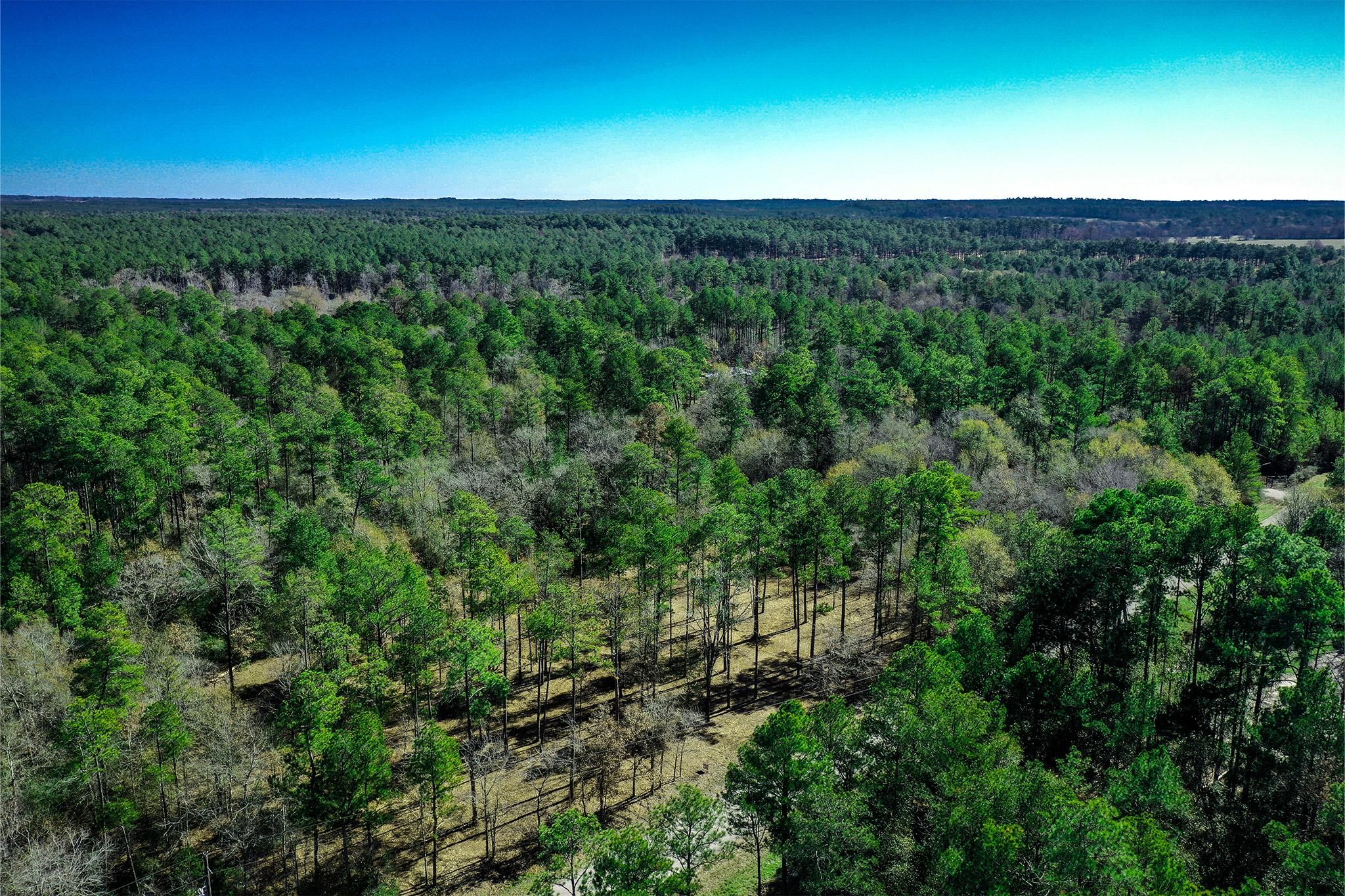 97 Utley Road, Huntsville, TX 77320 MLS 58351919 LandWatch