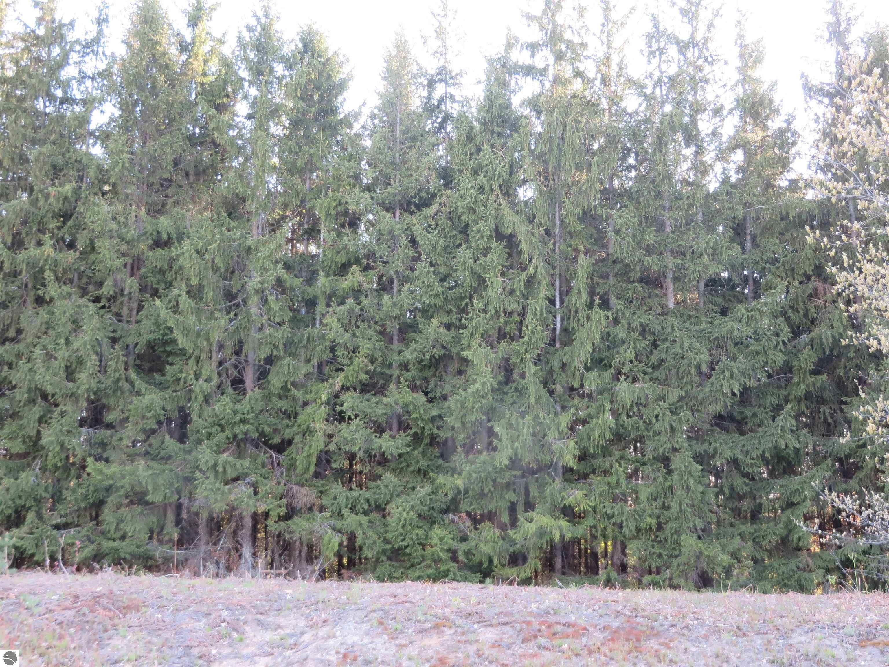 Fife Lake, Grand Traverse County, MI Undeveloped Land for sale Property