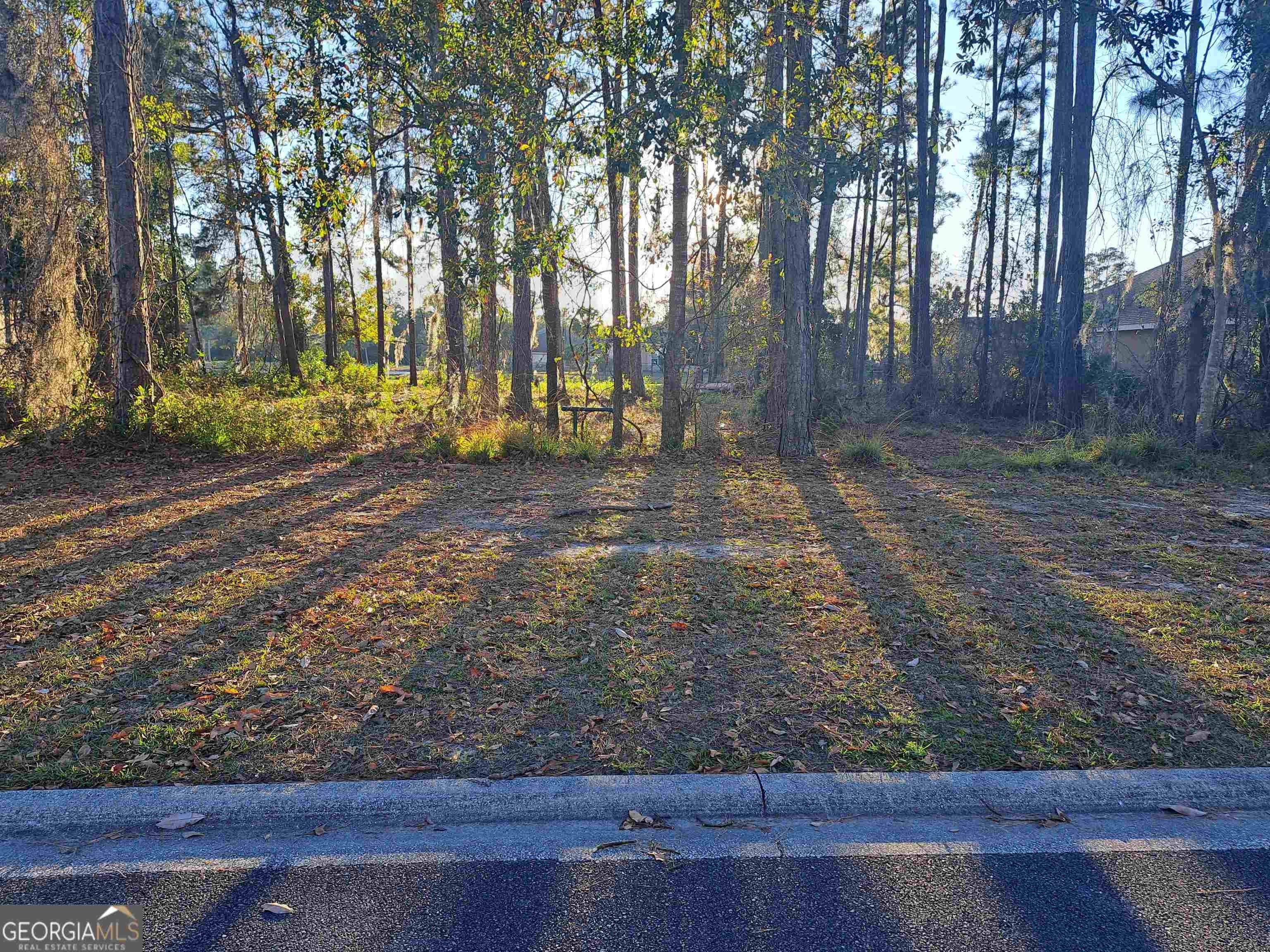 Kingsland, Camden County, GA Undeveloped Land, Homesites for sale