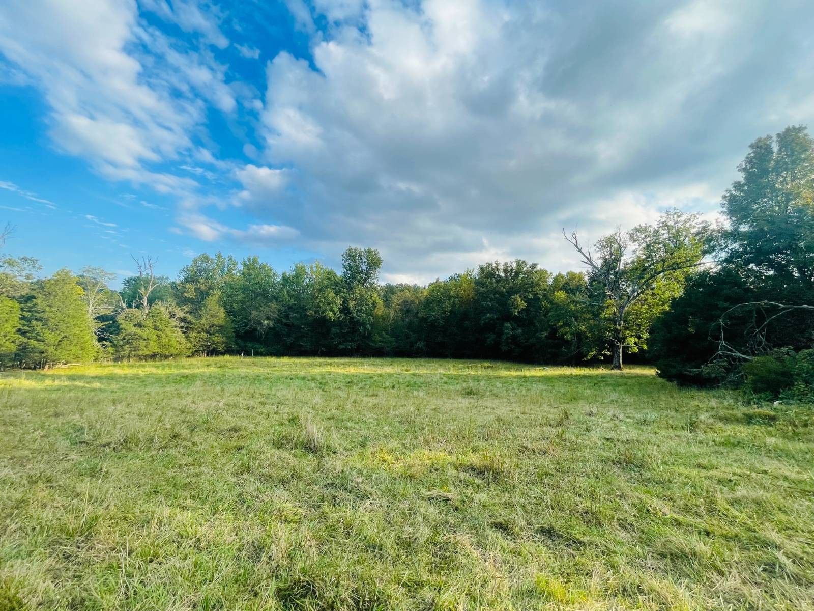 Mammoth Spring, Fulton County, AR Undeveloped Land, Lakefront Property