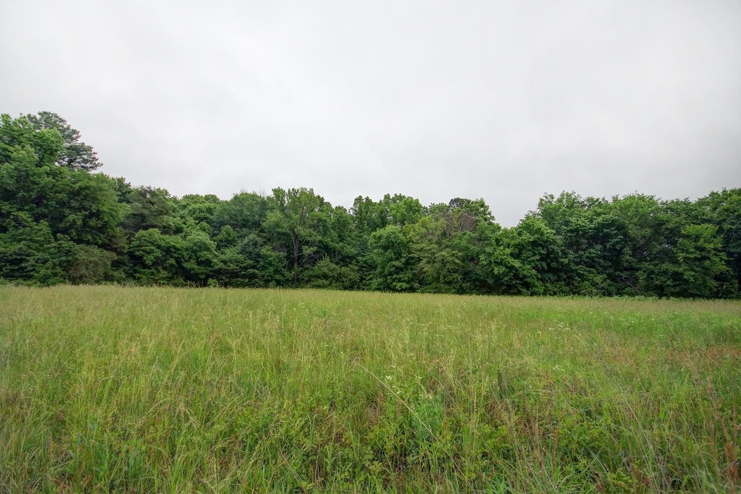 Siler City, Chatham County, NC Undeveloped Land, Homesites for sale