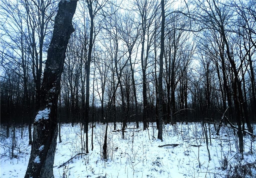 Jump River, Rusk County, WI Undeveloped Land for sale Property ID