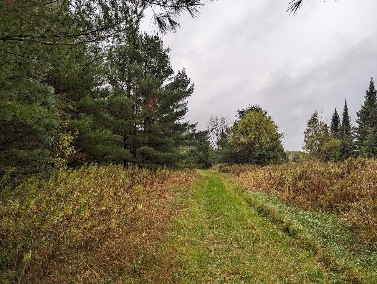 Brantwood, Price County, WI Undeveloped Land for sale Property ID