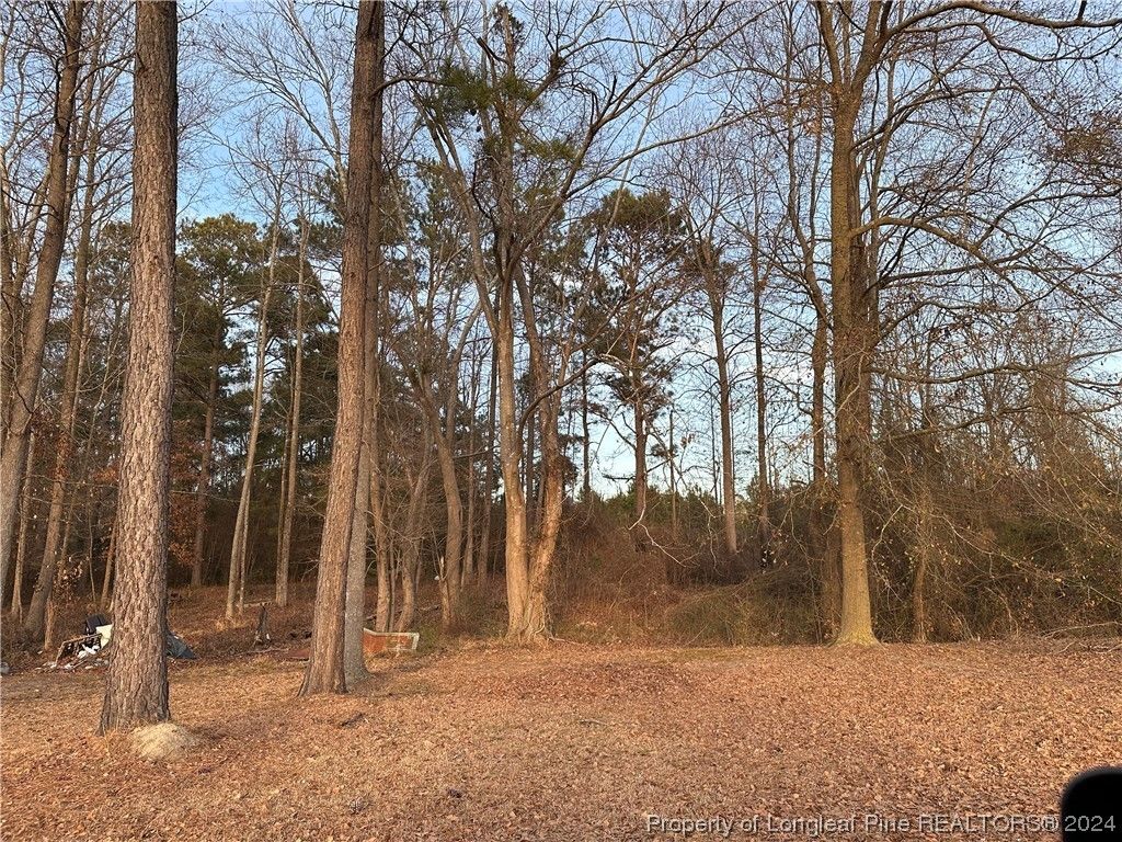 Maxton, Robeson County, NC Undeveloped Land for sale Property ID