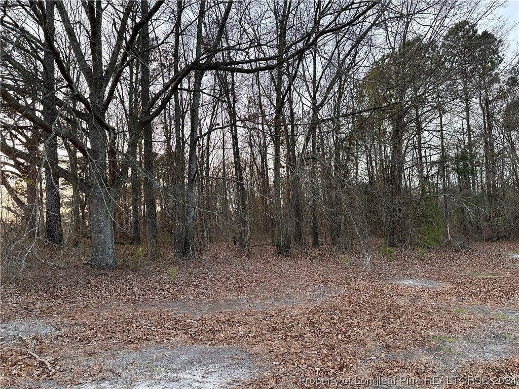 Lot 2 Midway Road, Rowland, NC 28364 MLS 718270 LandWatch