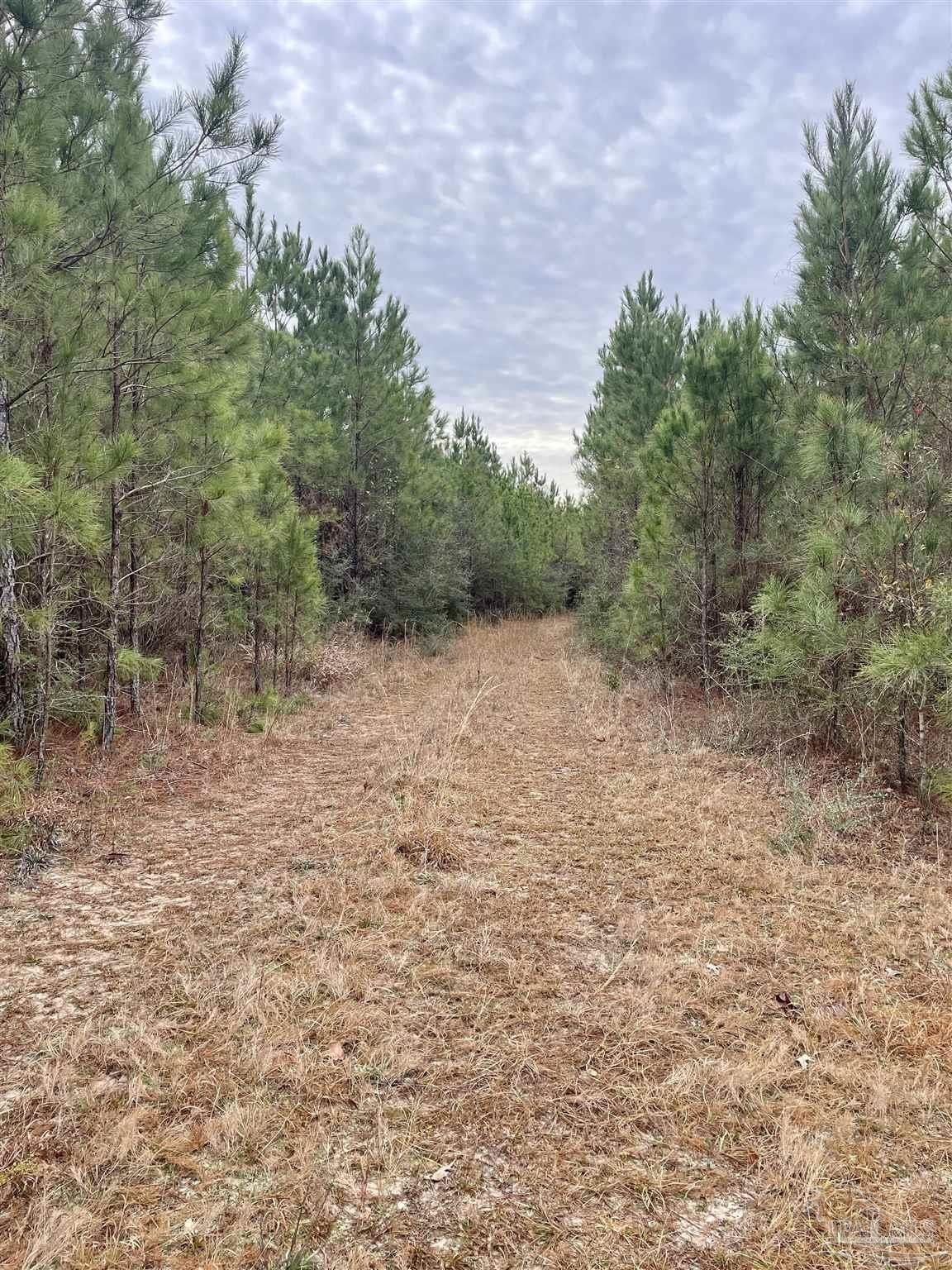 Flomaton, Escambia County, AL Undeveloped Land, Lakefront Property